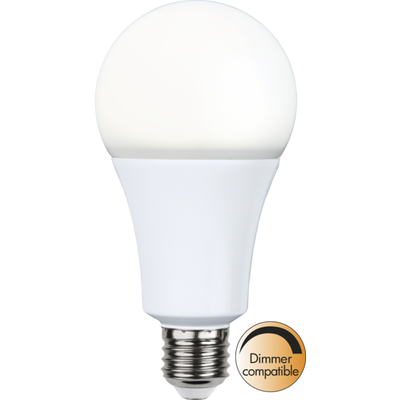 LED lamp E27 20W 2100lm 4000K DIM