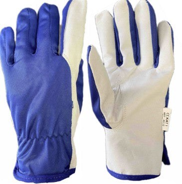 Kindad S10 sinine/valge nahk