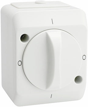 Pöördlüliti 10A 250V valge pinnapealne