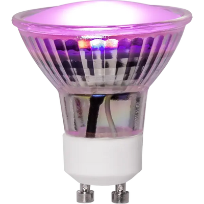Taimekasvulamp LED GU10 3,5W 42 lm roosa värelusvaba