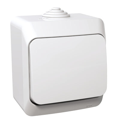 Ristlüliti pinnapealne, valge IP44 CEDAR