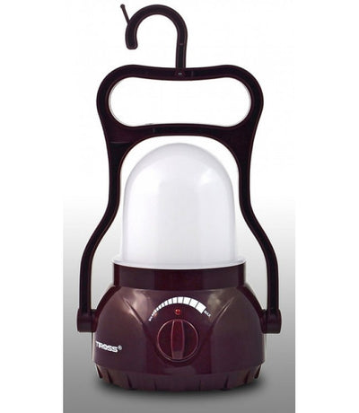 LED lamp 40SMD Led, 30 hours, TS690-3