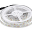 LED riba RGB 7W/m IP65 12V 60led