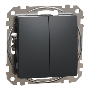 Grupilüliti süv. antratsiit, SEDNA