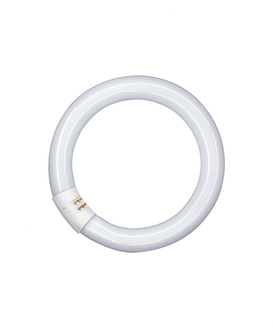 Kompaktlamp rõngas G10Q 22W/840 LUMILUX T9 C