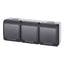 Pistikupesa 3-ne pinnapealne IP44 must/hall
