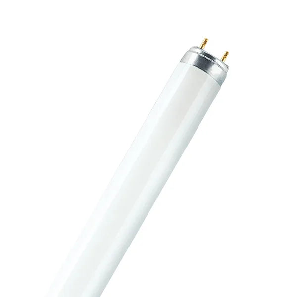 Luminofoortoru 36W/840 G13