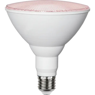 Taimekasvulamp LED PAR38 E27 16W 1200 lm IP44